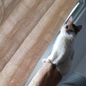 Meet your Posher, Marwan